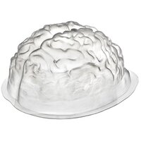 Brain Shaped Large Plastic Mould (38x22cm)