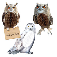 Harry Potter Owl Hanging Decorations - Pk 3