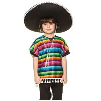 Kids Multicolour Stripe Poncho Costume