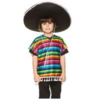 Kids Multicolour Stripe Poncho Costume