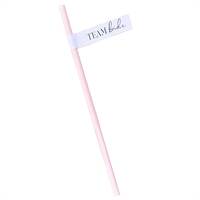 Future Mrs Team Bride Hen Party Paper Straws Pk 16