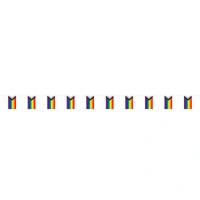 Pride Flag Pennant Banner