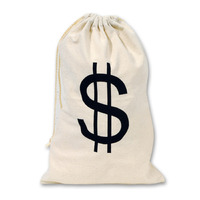 Big "$" Bag