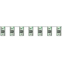 $100 Bill Pennant Banner