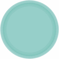 Paper Plates 23cm Round 20CT - Robin's Egg Blue Pk 20