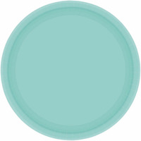 Paper Plates 23cm Round 20CT - Robin's Egg Blue Pk 20