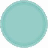 Paper Plates 17cm Round 20CT - Robin's Egg Blue Pk 20