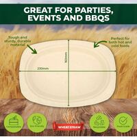 Eco-Friendly Wheat Straw Oblong Plates - 23cm x 16cm - 30pk