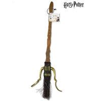 Harry Potter Broom