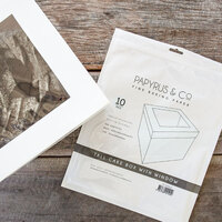PAPYRUS Hangsell 10" Tall Cake Box with Window