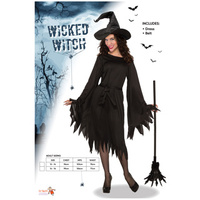 Women's Wicked Witch Costume