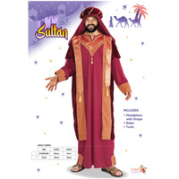 Adults Sultan Costume