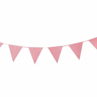 Rose Gold Glitter Pennant Bunting (3.5M)