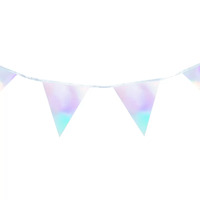 Iridescent Silver Pennant Bunting (3.5M)