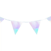 Iridescent Silver Pennant Bunting (3.5M)