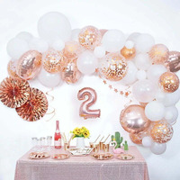 DIY Rose Gold Balloon Arch Set (4M)