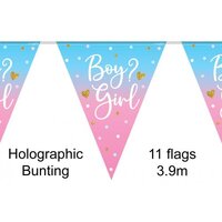 Boy or Girl Gender Reveal Bunting Banner (3.9M)