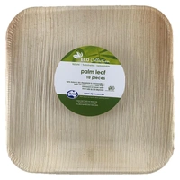 Palm Leaf Square Plates 20cm 10 Pack