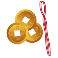 Lucky Lunar New Year Coins - Pk 24