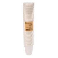 Sugarcane Cups (250ml) - Pk 50
