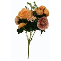 Peach/Apricot Silk Cabbage Rose Bush, 48cm
