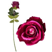 Fuchsia Single Stem Velvet Rose