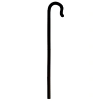 Child Walking Cane