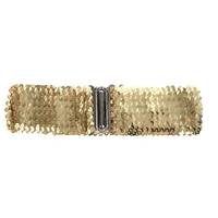 Gold Sequin Disco Belt (Elastic)