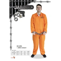 Adults Jailbird Prisoner Costume