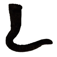 Long Mouse or Cat Tail
