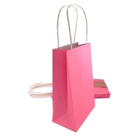 Fuchsia Paper Party Bags - Pk 5