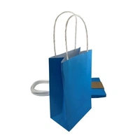 Azure Blue Paper Party Bags - Pk 5