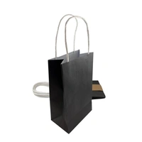 Black Paper Party Bags - Pk 5