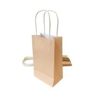 Peach Paper Party Bags - Pk 5