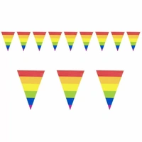 Pennant Bunting Triangle Flag Banner - Rainbow