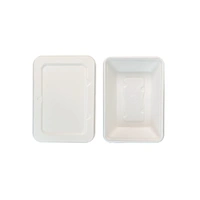 White Sugarcane Containers with Lids (500mL) – Pk 4