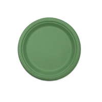 Sugar Cane Plate Pastel Green (22.5 cm) – Pk 25