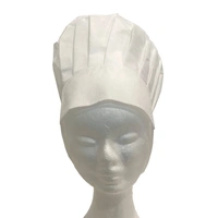 Chef Hat – Adults 14+