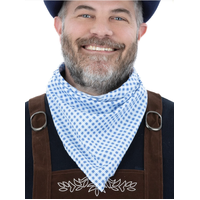 Bavarian Neckerchief – Blue Gingham