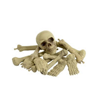 Bag Of Bones & Skull – Natural