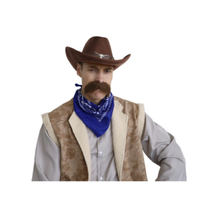 Brown Cowboy Hat