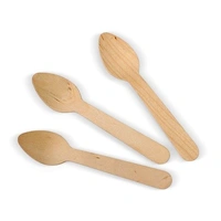 Wooden Tea Spoon – Pk5000