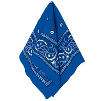 Blue Bandana