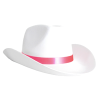 Cowboy Hat (White with Pink Band)