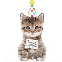 "Cue the Catfetti" Cat 41" Shaped Foil Balloon