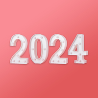 2024 Light Up LED Numbers - 4 individual numbers